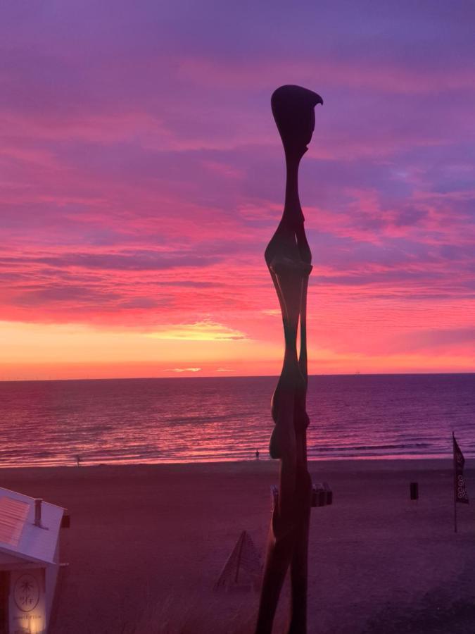 Sunset Lodge Zandvoort Extérieur photo